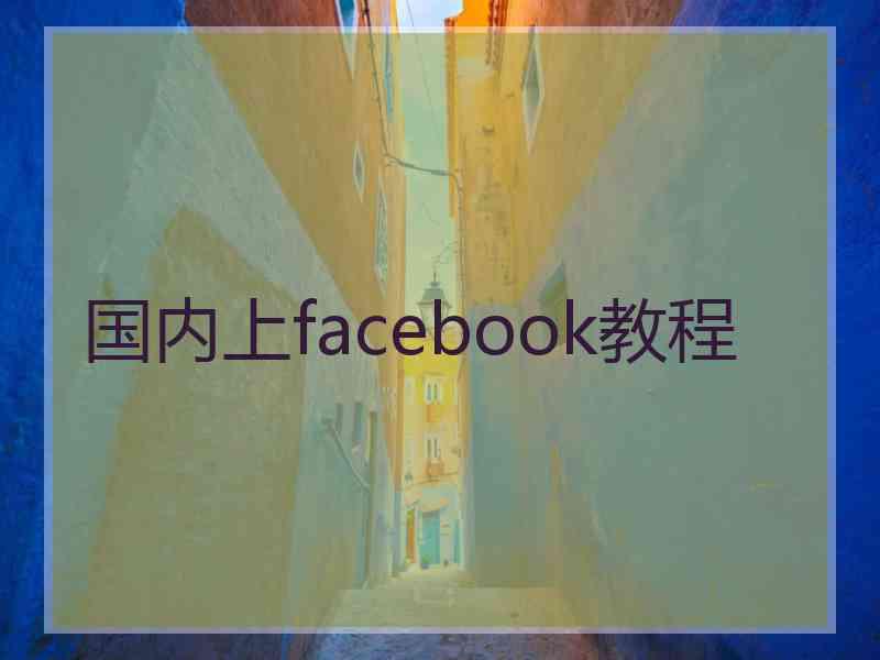 国内上facebook教程
