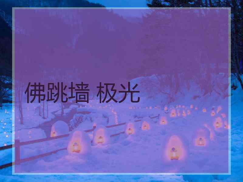 佛跳墙 极光