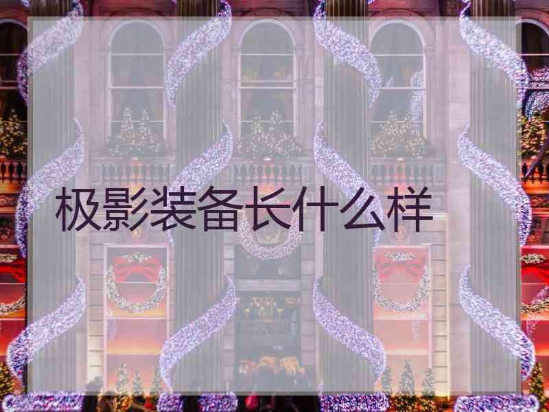极影装备长什么样