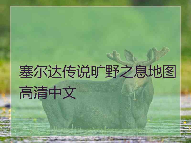 塞尔达传说旷野之息地图高清中文