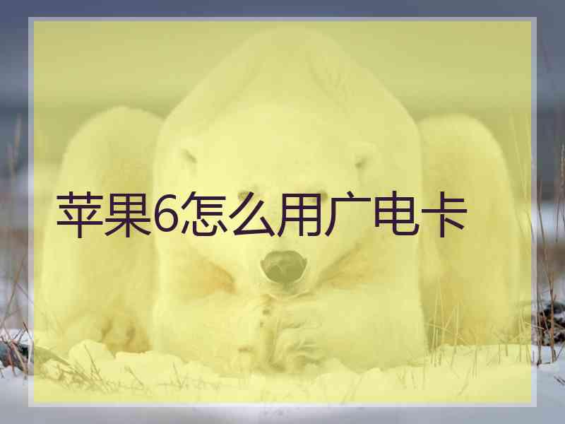 苹果6怎么用广电卡