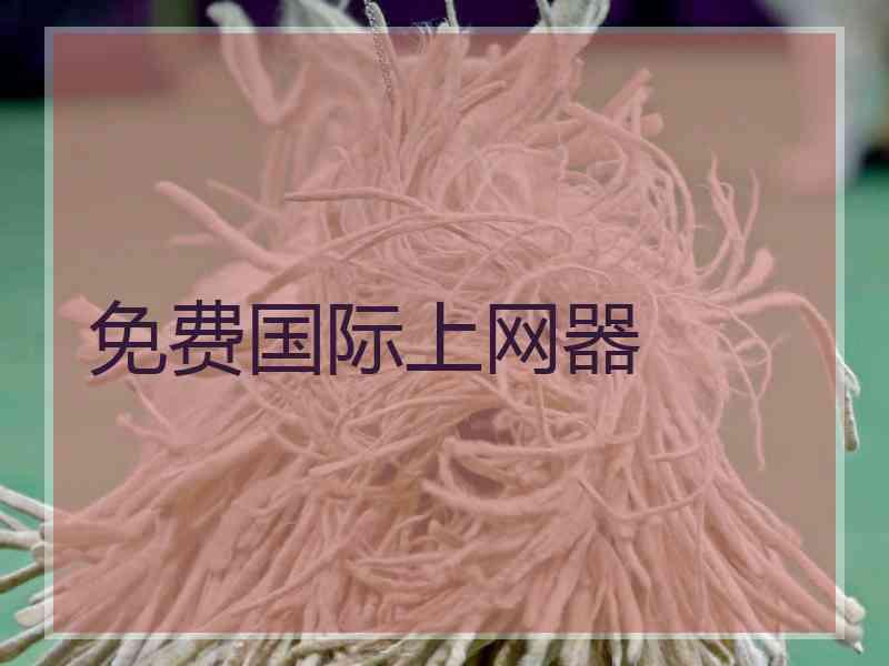 免费国际上网器