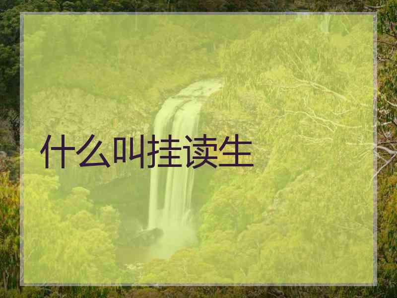 什么叫挂读生