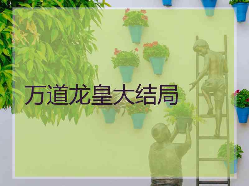 万道龙皇大结局