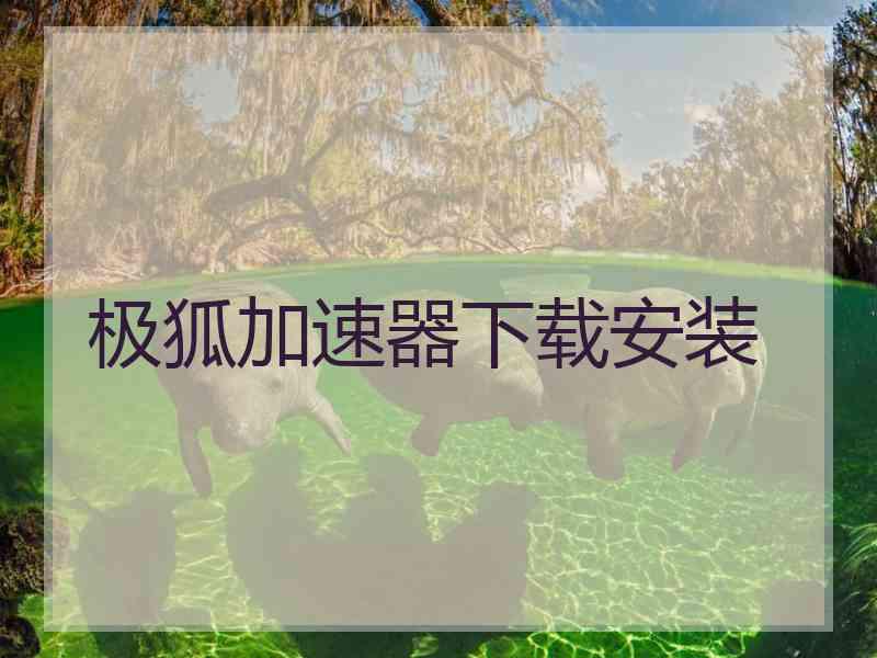 极狐加速器下载安装
