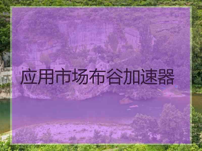 应用市场布谷加速器