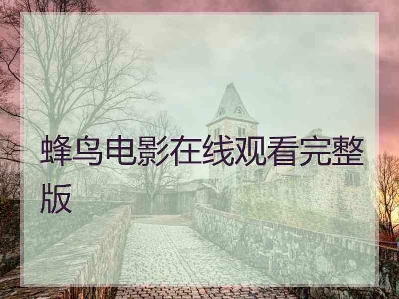 蜂鸟电影在线观看完整版