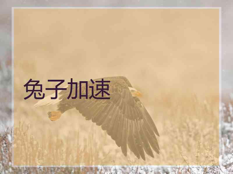 兔子加速