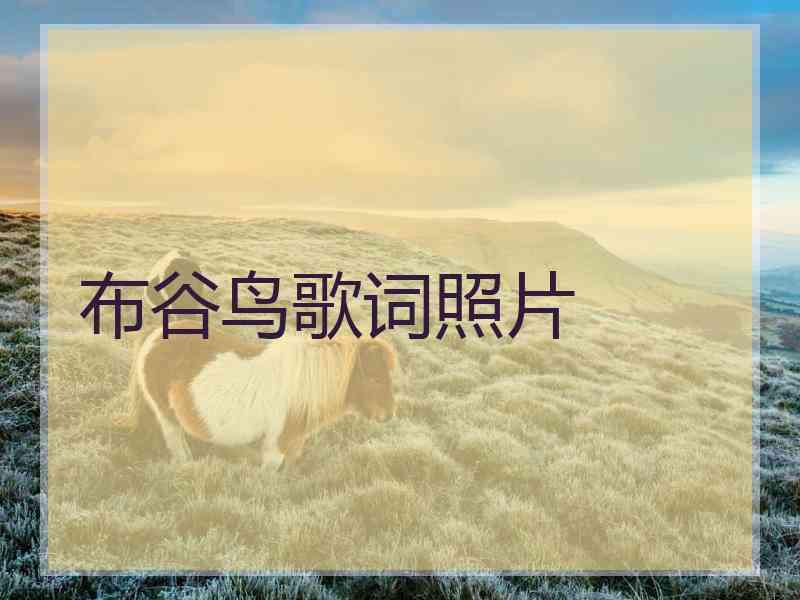 布谷鸟歌词照片