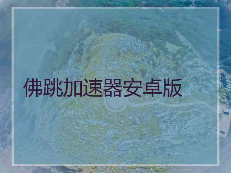佛跳加速器安卓版