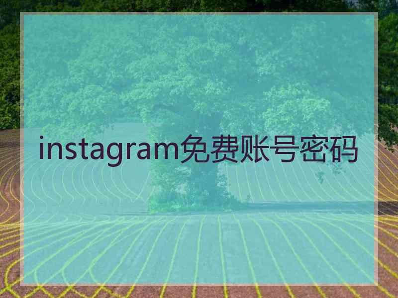 instagram免费账号密码