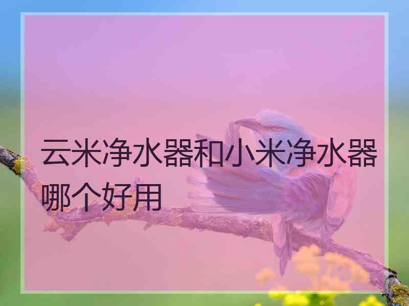 云米净水器和小米净水器哪个好用