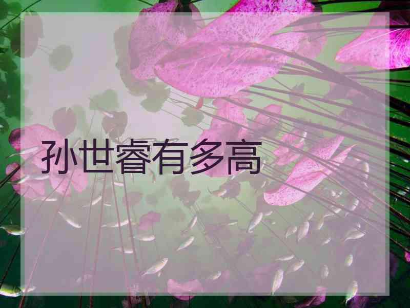 孙世睿有多高
