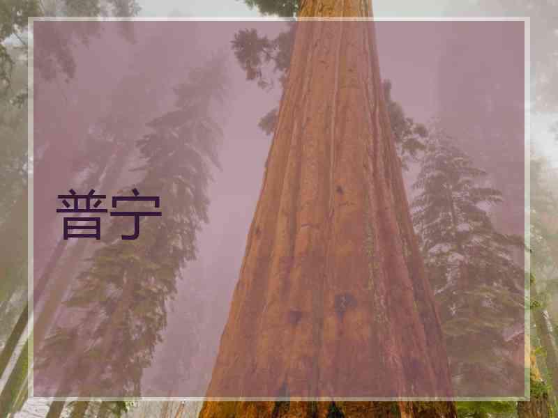 普宁