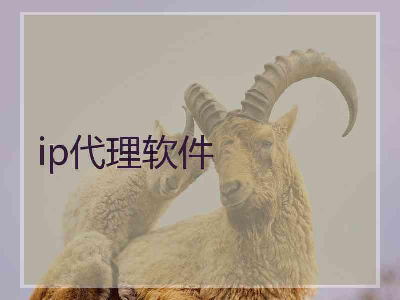 ip代理软件