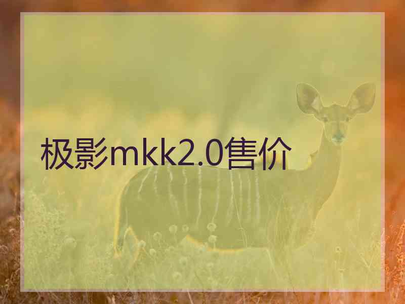 极影mkk2.0售价