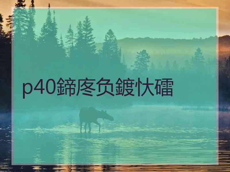 p40鍗庝负鍍忕礌