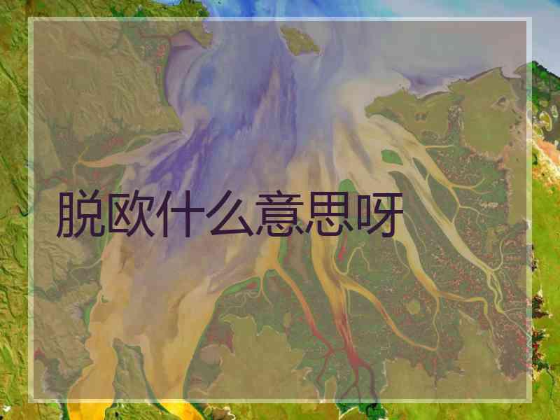 脱欧什么意思呀