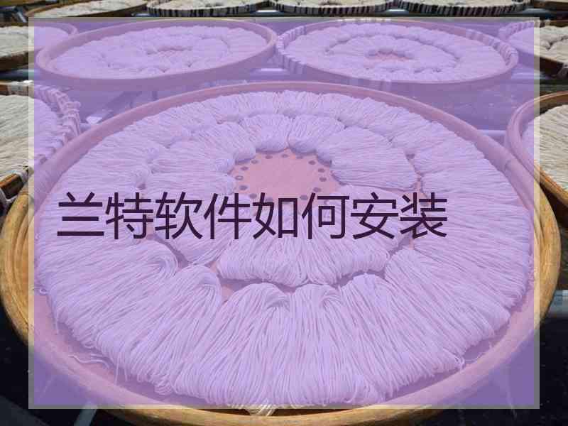 兰特软件如何安装