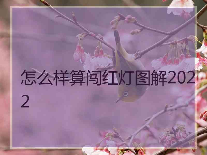 怎么样算闯红灯图解2022