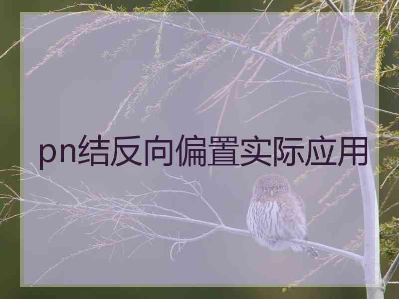 pn结反向偏置实际应用