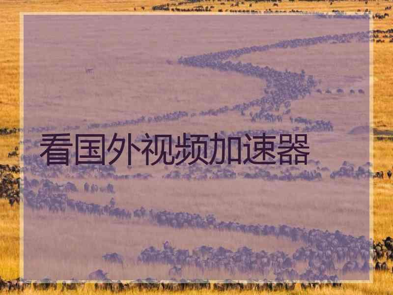 看国外视频加速器