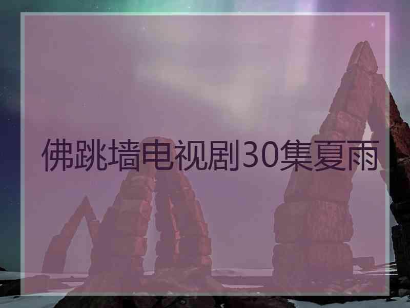 佛跳墙电视剧30集夏雨
