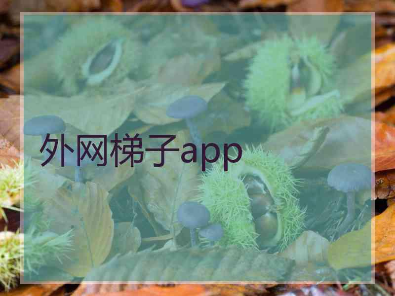 外网梯子app