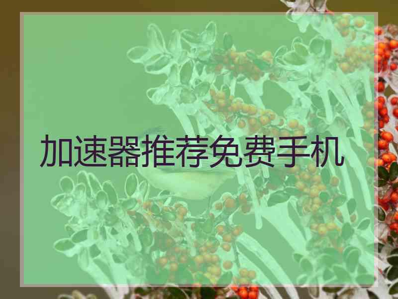 加速器推荐免费手机