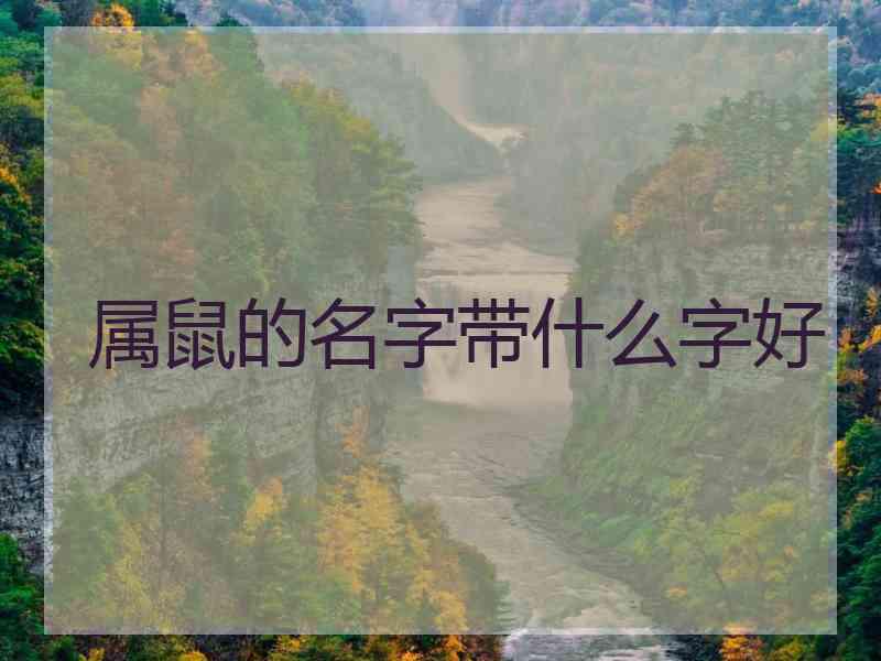 属鼠的名字带什么字好