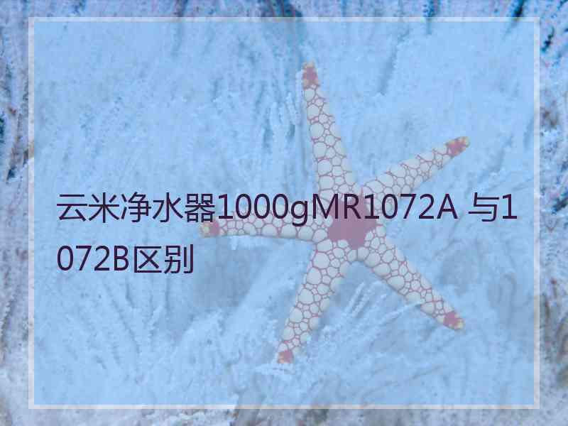 云米净水器1000gMR1072A 与1072B区别