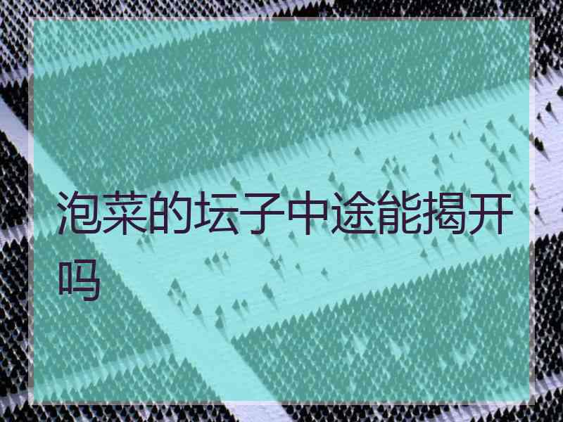 泡菜的坛子中途能揭开吗