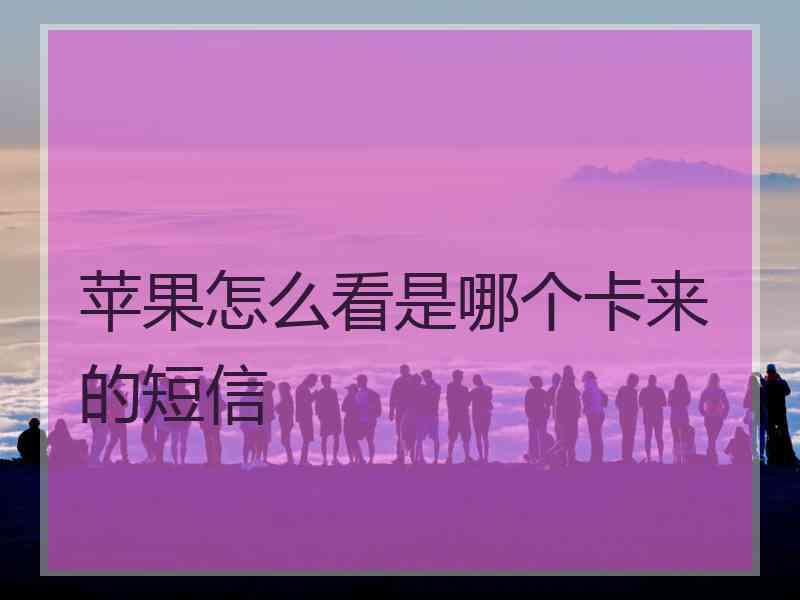 苹果怎么看是哪个卡来的短信
