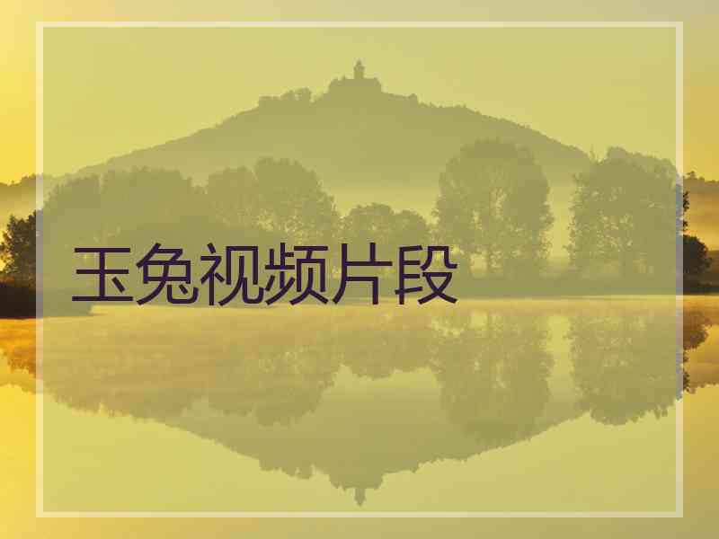 玉兔视频片段