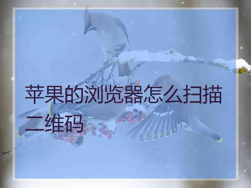 苹果的浏览器怎么扫描二维码
