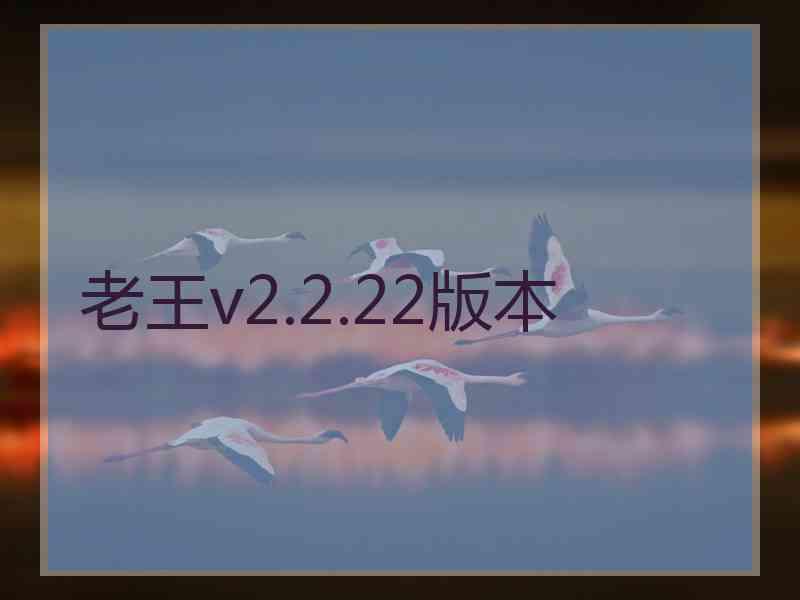 老王v2.2.22版本