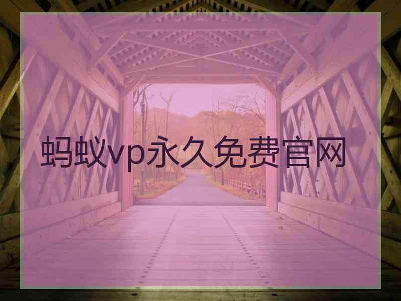 蚂蚁vp永久免费官网