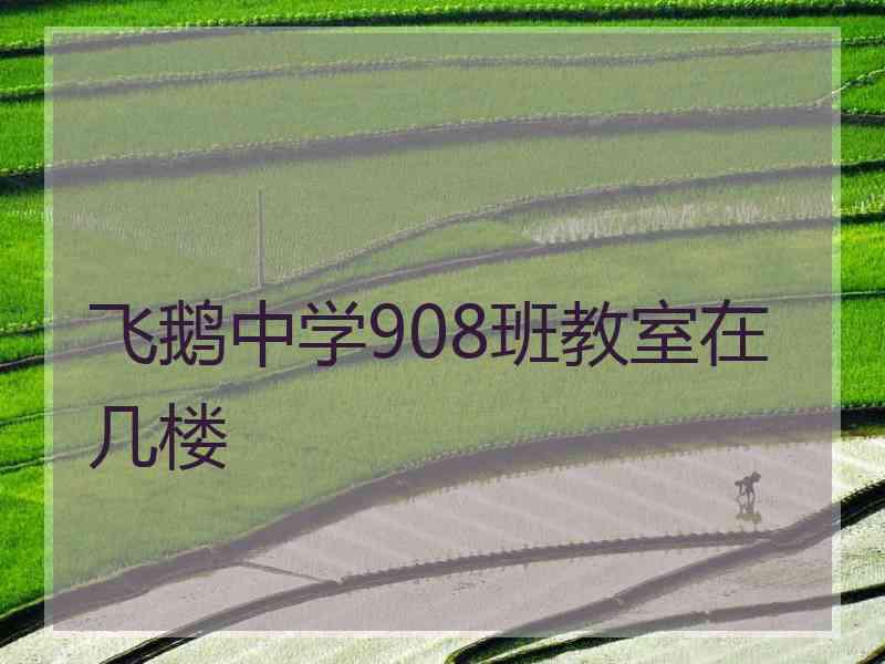 飞鹅中学908班教室在几楼