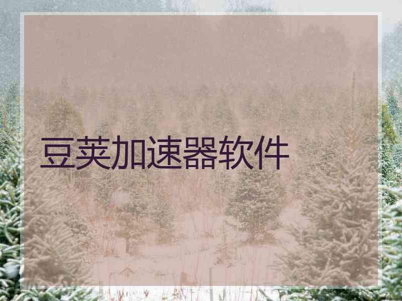 豆荚加速器软件