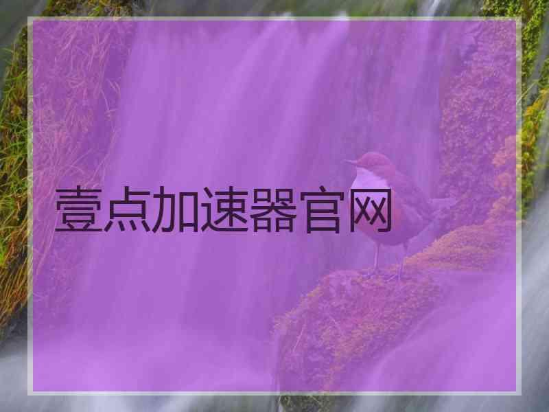 壹点加速器官网