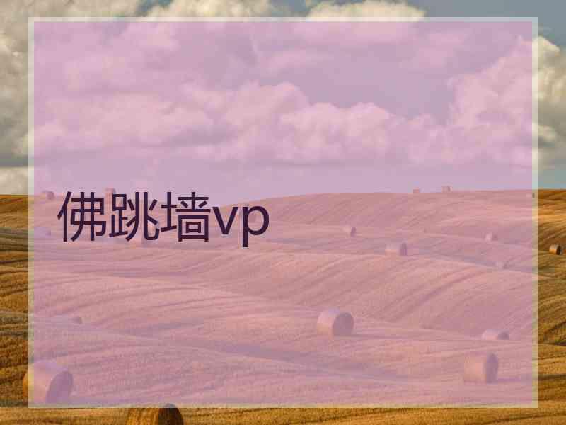 佛跳墙vp