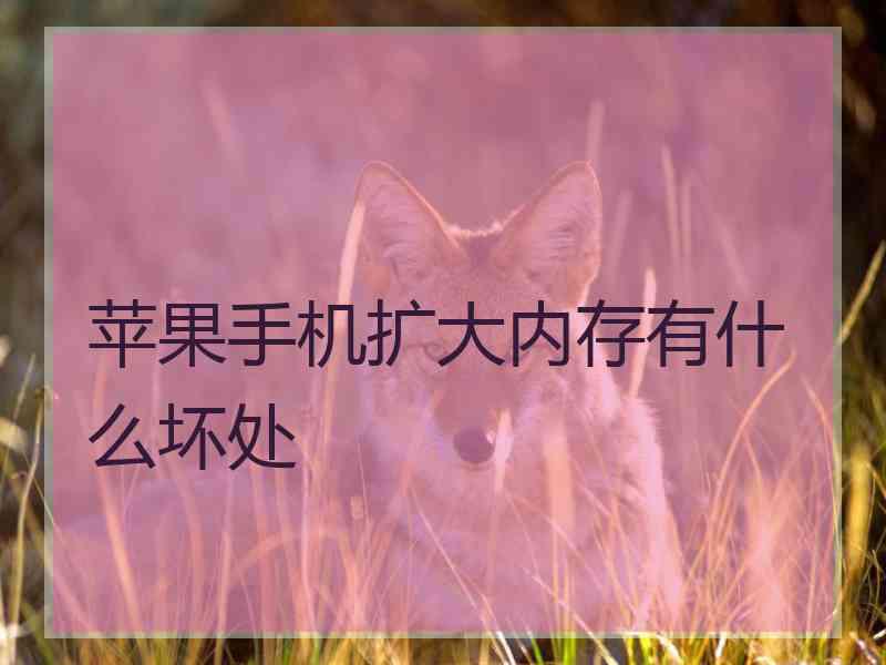 苹果手机扩大内存有什么坏处