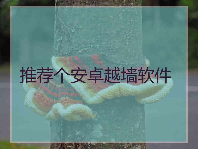 推荐个安卓越墙软件