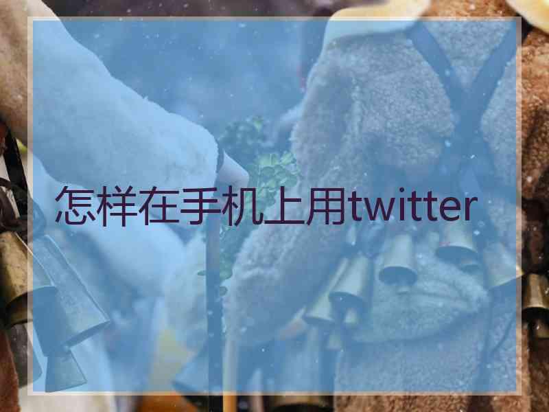 怎样在手机上用twitter