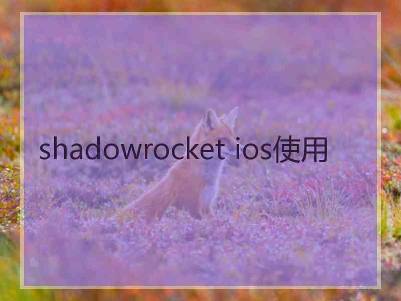 shadowrocket ios使用