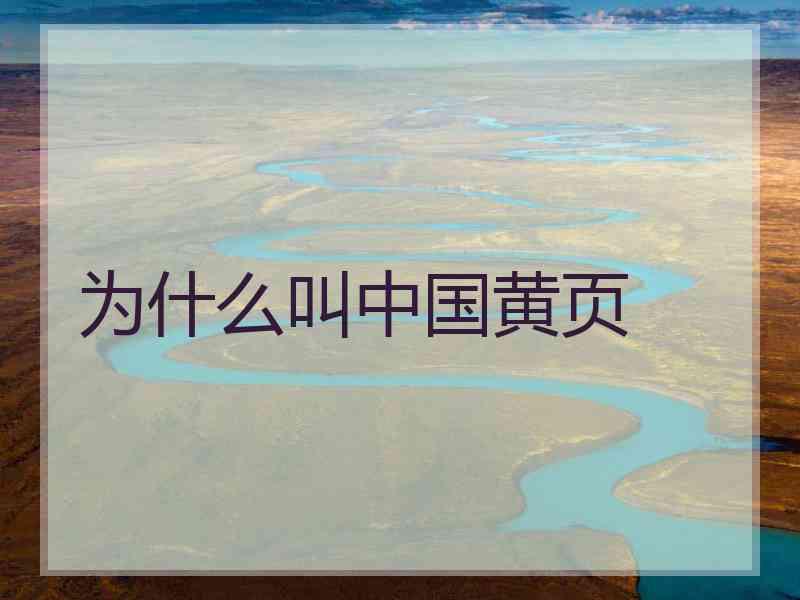 为什么叫中国黄页