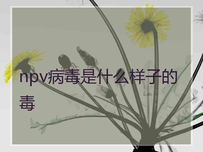 npv病毒是什么样子的毒