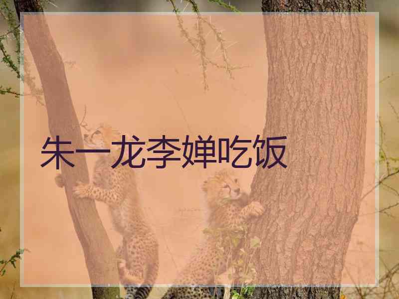 朱一龙李婵吃饭
