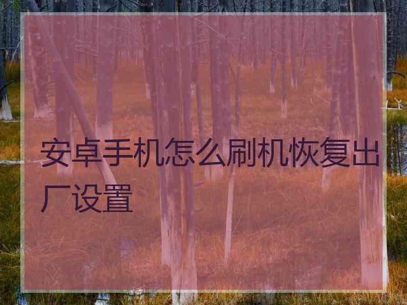 安卓手机怎么刷机恢复出厂设置