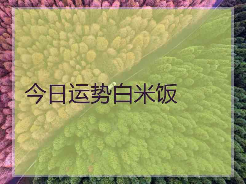 今日运势白米饭